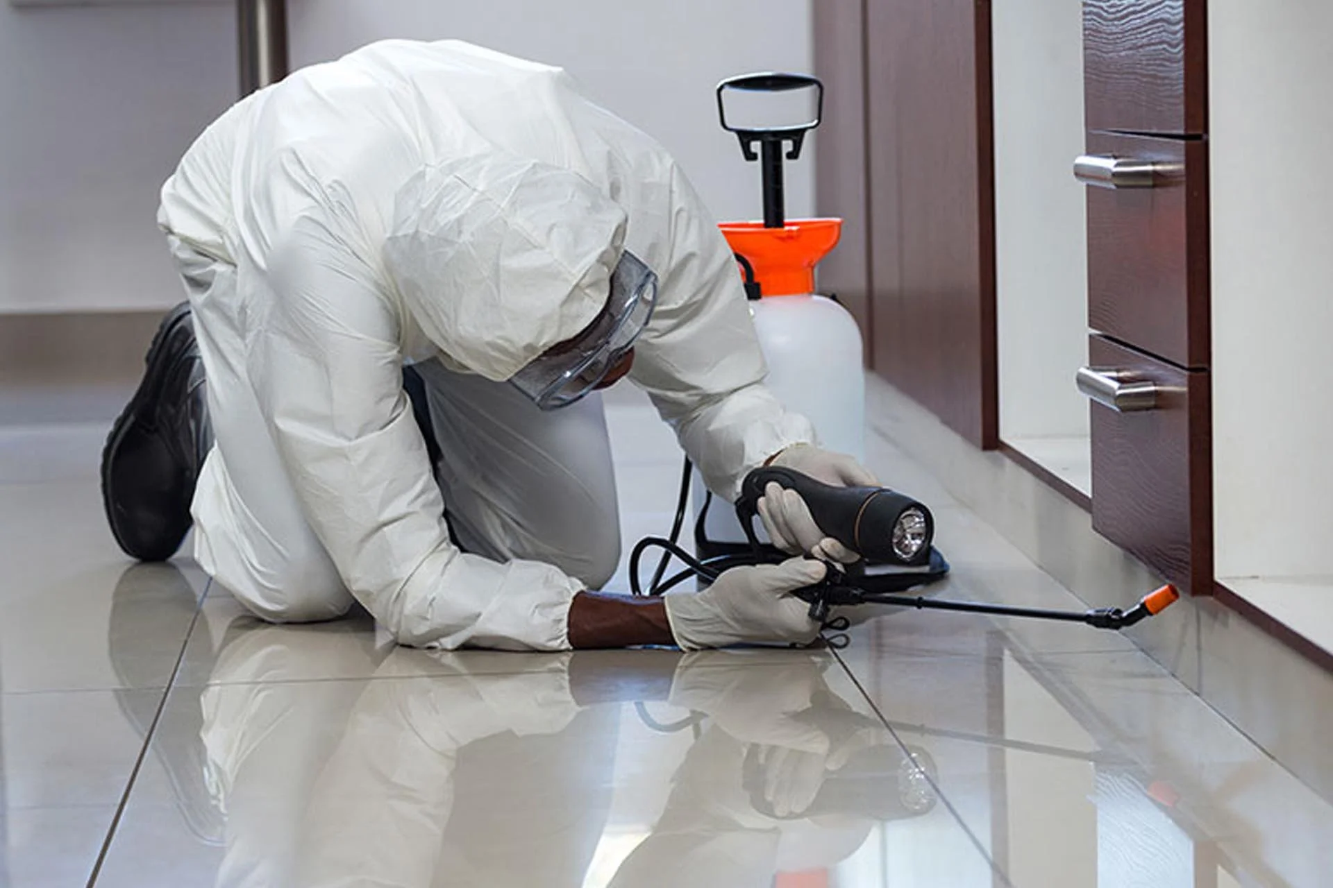 General Pest Control